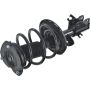 Autopart International Strut/Coil Spring Assy 2701502767
