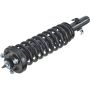Autopart International Strut/Coil Spring Assy 2701502769