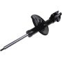 Autopart International Strut Assembly 2701502981