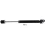 Autopart International Strut Assembly 2701503748