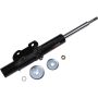 Autopart International Strut Assembly 2701503749