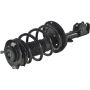 Autopart International Strut/Coil Spring Assy 2701505597