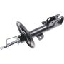 Autopart International Strut Assembly 2701505614