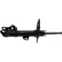 Autopart International Strut Assembly 2701505618