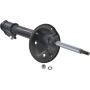 Autopart International Strut Assembly 2701507467