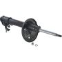 Autopart International Strut Assembly 2701507468