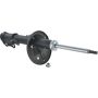 Autopart International Strut Assembly 2701507707