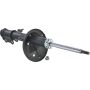 Autopart International Strut Assembly 2701507708