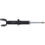 Autopart International Strut Assembly 2701507727
