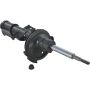 Autopart International Strut Assembly 2701511481