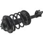 Autopart International Strut/Coil Spring Assy 2701511806