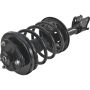 Autopart International Strut/Coil Spring Assy 2701511808