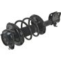 Autopart International Strut/Coil Spring Assy 2701511815