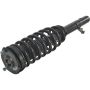 Autopart International Strut/Coil Spring Assy 2701511819