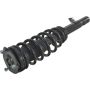 Autopart International Strut/Coil Spring Assy 2701511822
