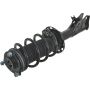 Autopart International Strut/Coil Spring Assy 2701511836