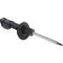 Autopart International Strut Assembly 2701511860