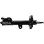 Autopart International Strut Assembly 2701518675