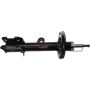 Autopart International Strut Assembly 2701518676