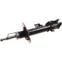 Autopart International Strut Assembly 2701518677