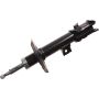 Autopart International Strut Assembly 2701518678