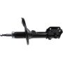 Autopart International Strut Assembly 2701522613