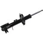 Autopart International Strut Assembly 2701524115