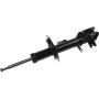 Autopart International Strut Assembly 2701524116