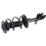 Autopart International Strut/Coil Spring Assy 2701524529