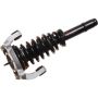 Autopart International Strut/Coil Spring Assy 2701524567