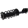 Autopart International Strut/Coil Spring Assy 2701524584
