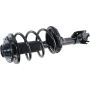 Autopart International Strut/Coil Spring Assy 2701524585