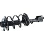 Autopart International Strut/Coil Spring Assy 2701524586