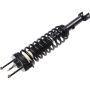Autopart International Strut/Coil Spring Assy 2701524601