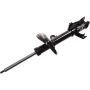 Autopart International Strut Assembly 2701528381