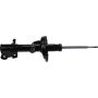 Autopart International Strut Assembly 2701528382