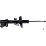 Autopart International Strut Assembly 2701528383