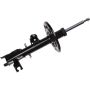 Autopart International Strut Assembly 2701528877