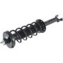 Autopart International Strut/Coil Spring Assy 2701536091