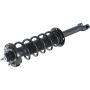 Autopart International Strut/Coil Spring Assy 2701536092