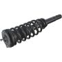Autopart International Strut/Coil Spring Assy 2701536095