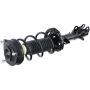 Autopart International Strut/Coil Spring Assy 2701536290