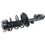 Autopart International Strut/Coil Spring Assy 2701536294