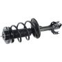 Autopart International Strut/Coil Spring Assy 2701536295