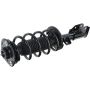 Autopart International Strut/Coil Spring Assy 2701539568