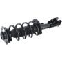 Autopart International Strut/Coil Spring Assy 2701539569