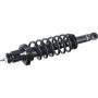 Autopart International Strut/Coil Spring Assy 2701539572