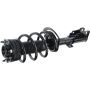 Autopart International Strut/Coil Spring Assy 2701539573