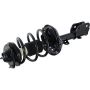 Autopart International Strut/Coil Spring Assy 2701539575