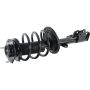 Autopart International Strut/Coil Spring Assy 2701539577